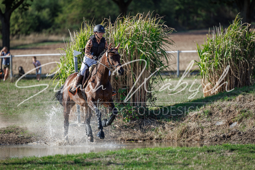 20260905-_3LI0605 | Tierfotografie Pferde, Hunde, Katzen, Haustiere.
Turnierfotografie Reitturniere, Reiten, Springreiten, Dressur in Hanau, dem Main-Kinzig-Kreis und dem Rhein-Main- Gebiet um Frankfurt