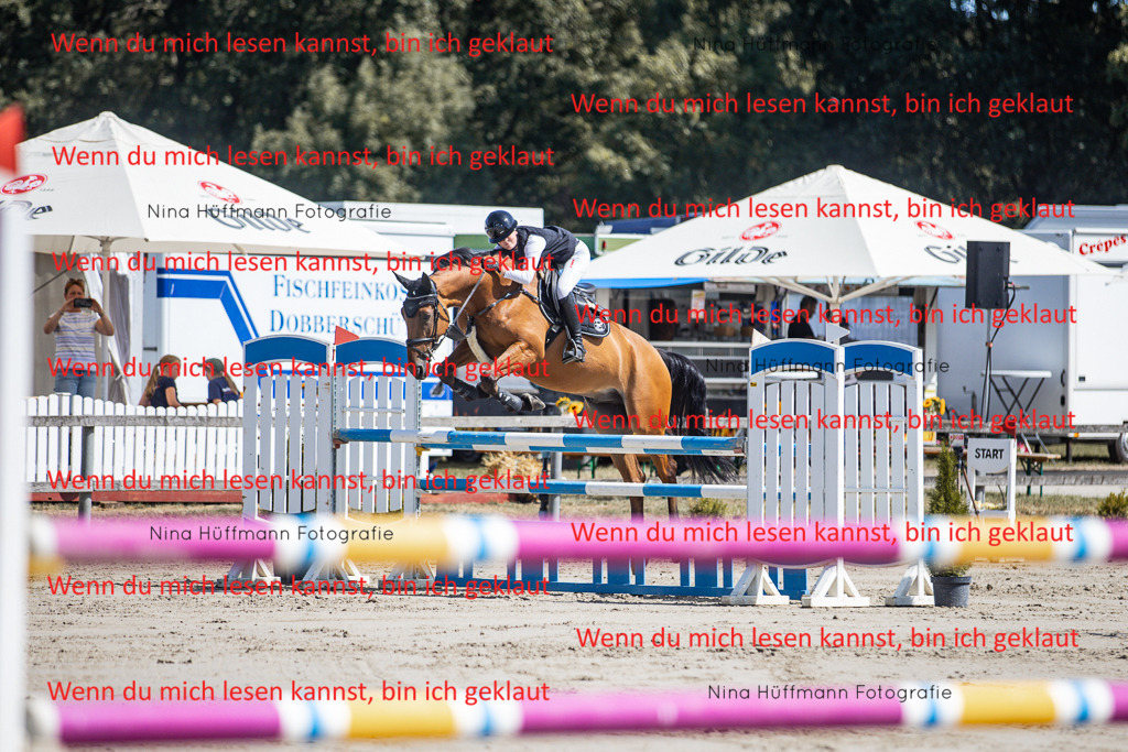 BK1A6626 | Turnierbilder Turnierfotos Nina Hüffmann Turnierfotografie Pferdefotografie Tierzeichnung Haustierzeichnung Pferdezeichnung Hundezeichnung Videograf  - Realisiert mit Pictrs.com