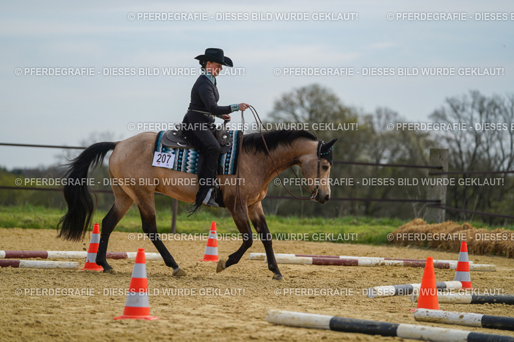 DSC03815 | Pferdegrafie