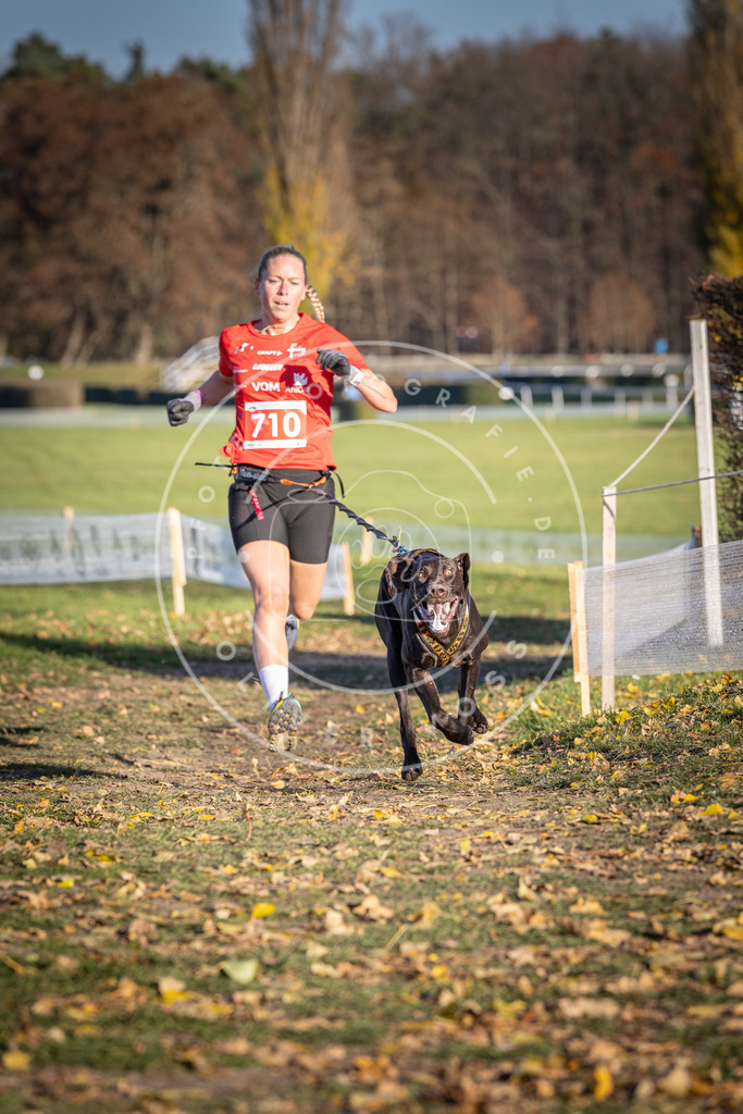 CaniXpix_DV3A1611 | Hundefotografie, Tierfotograf, Pfotenfotografie, Fotoshooting Hund, Hunde Portrait, Hundesport, Hundeportraits, Heideshooting, Hunde, Sportfotograf, Hundefotograf, Turnierhundsport, THS,  - Realisiert mit Pictrs.com
