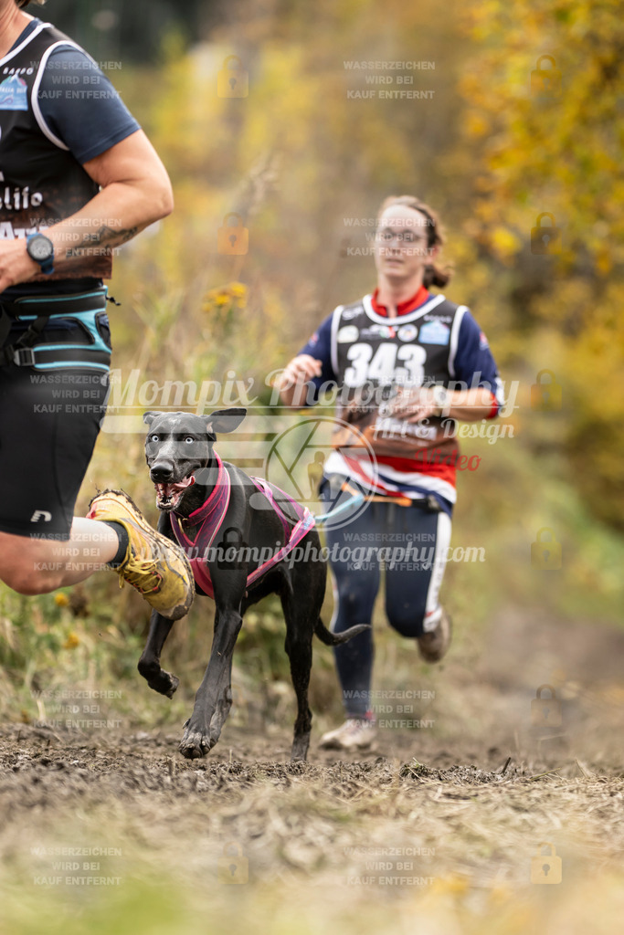 MompixPhotography_ICF_WC_2024_SA_Run_-262 | PayLife