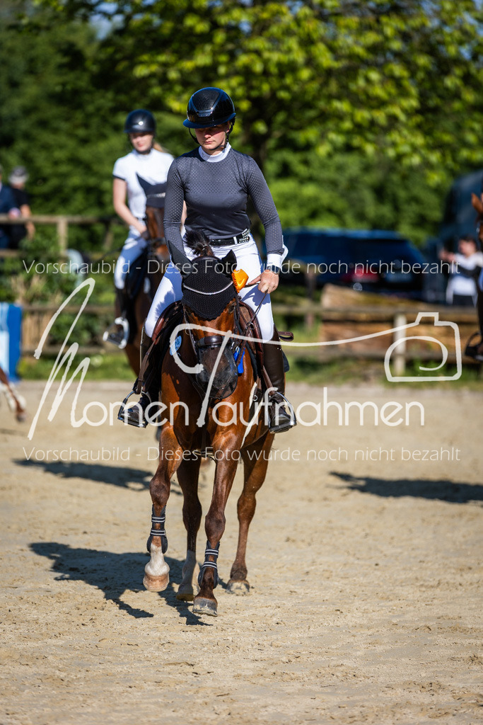 Donop24-ASpr-130 | MomenTaufnahmen Pferdesportfotos