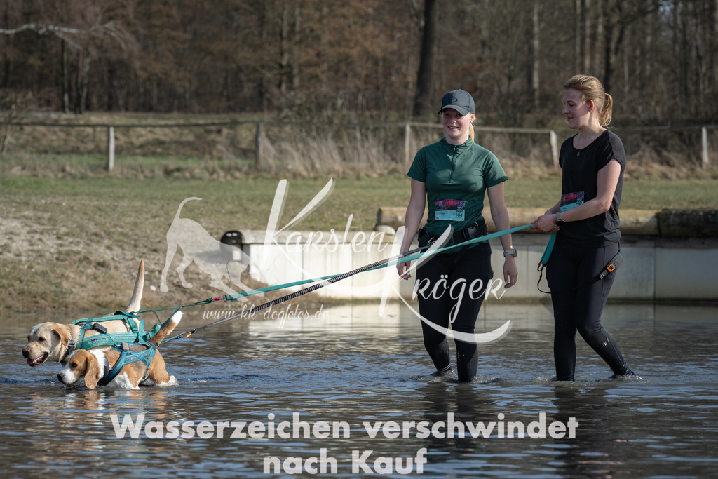 1341_ZZ97788 | kk-dogfotos