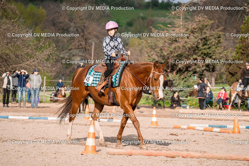 BAL02899 | dv-media-shop - Realisiert mit Pictrs.com