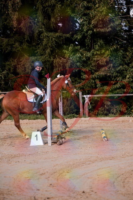 2026_10_03_Siefer-Hof_144624_Z81_22224299 | Professionelle Reitsport-, Turnier- und Eventfotografie von Robert Broda. Galerien mit ausgewählten und bearbeiteten Bildern direkt online ansehen und bestellen.
