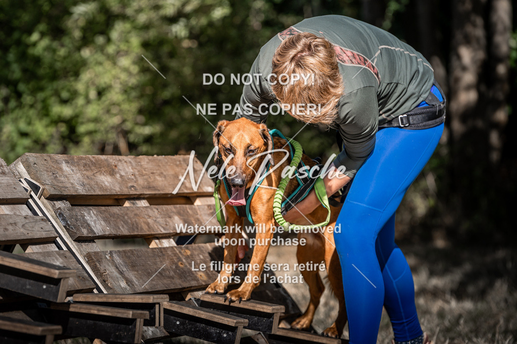nelerasche_slaw24So_185 | nelerasche