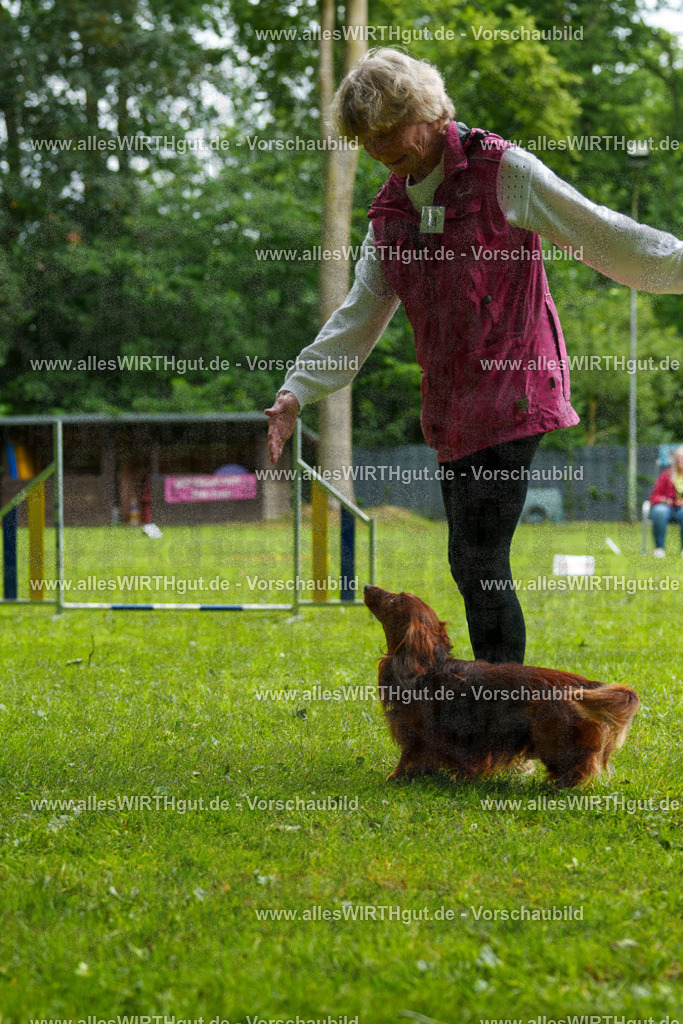 @allesWIRTHgut_Tierfotografie - www.allesWIRTHgut.de - 090827-7R506585 | Professionelle Tierfotografie in Mönchengladbach von Daniel Wirth (allesWIRTHgut). Liebevolle & natürliche Bilder von Hunden & Katzen für unvergessliche Erinnerungen.