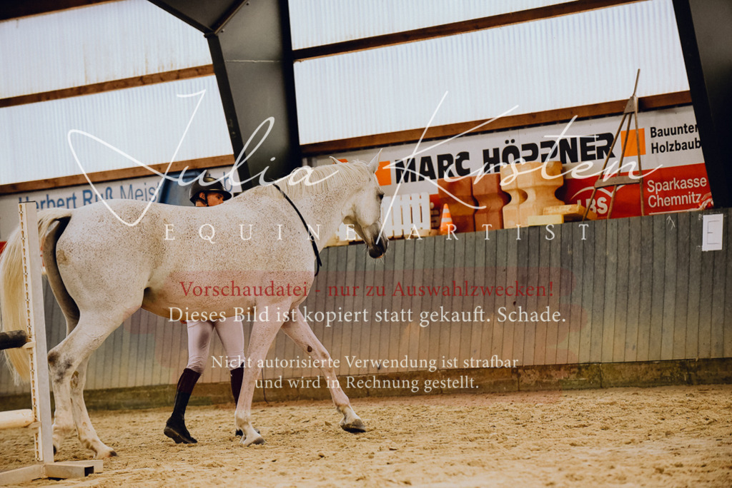 DSC_6957 | Pferde- und Turnierfotografie in Westsachsen. Pferdeportraits, Auftragszeichnungen und intuitive Kunst.