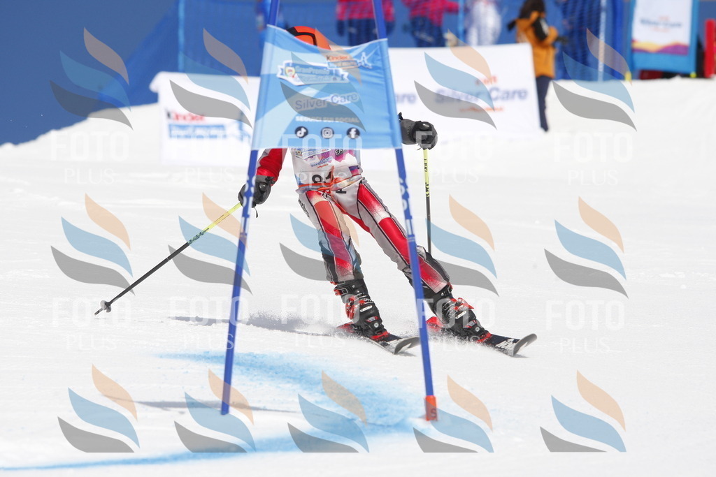 _W1G1188 | holidayphoto