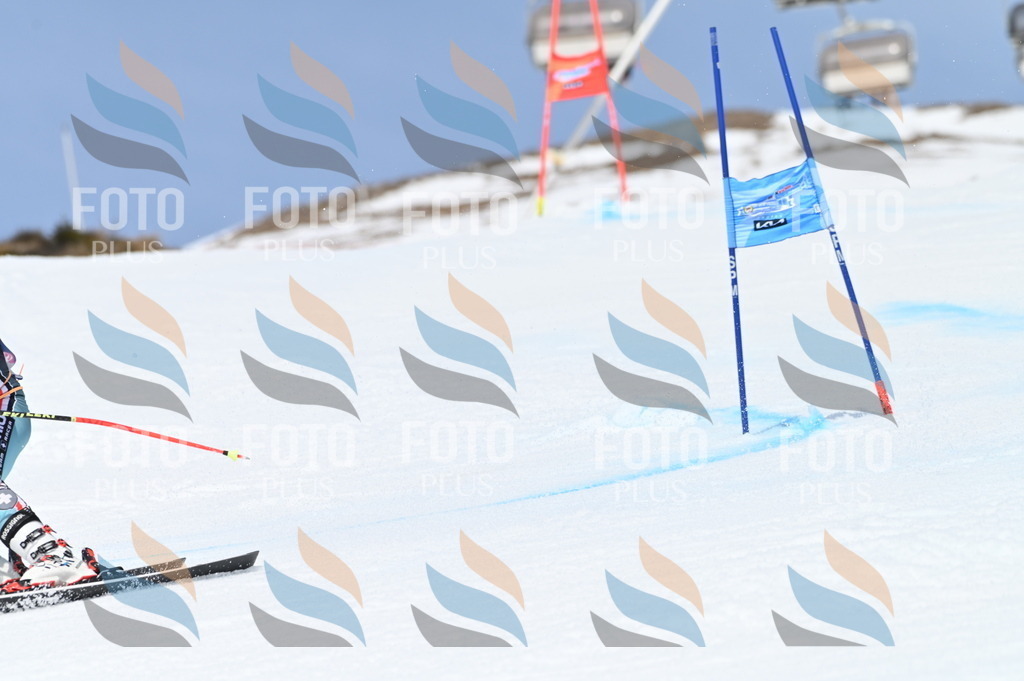 BGV_2223 | holidayphoto