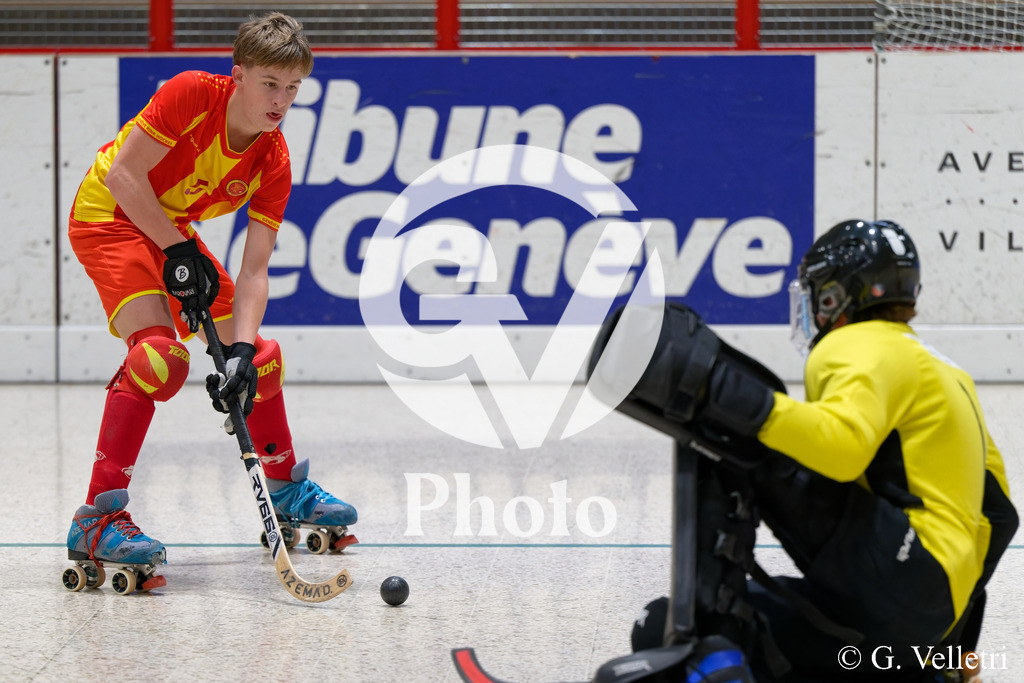 DSC_5235 | Velletri Photo