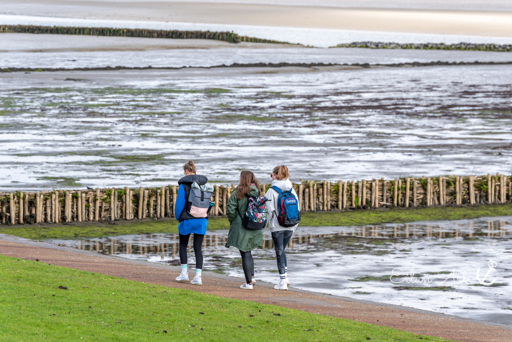 EAF_1181 | Eilun-Art-Fotografie Levke Martens, ihre Fotografin für Immobilien- und Landschaftsfotografie auf Föhr, Föhrer Motive als Poster, Leinwand, hinter Acrylglas oder stelle dir deinen eigenen Monatskalender zusammen, mit nur einem Klick
