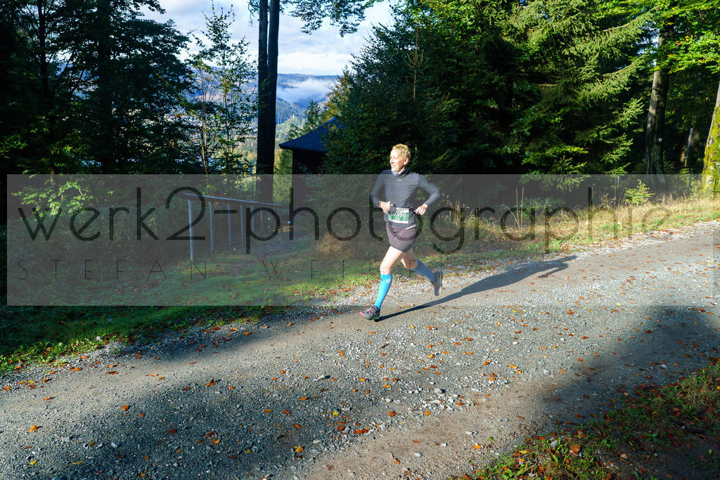 Herbstlauf 2024 | Rennsteig-Herbstlauf von Neuhaus am Rennweg nach Masserberg am 6. Oktober 2024