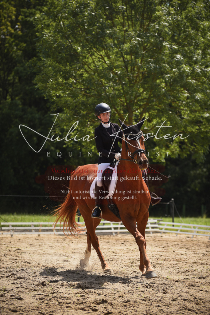 DSC_1094 | Pferde- und Turnierfotografie in Westsachsen. Pferdeportraits, Auftragszeichnungen und intuitive Kunst.