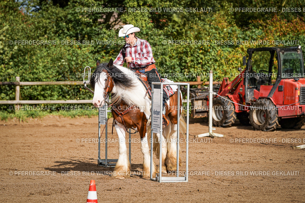 DSC09838 | Pferdegrafie