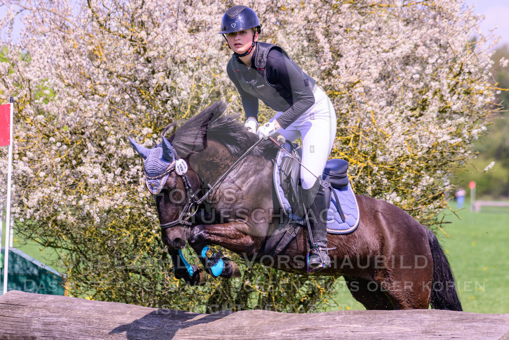 18042026-Gernlinden-01-1-0515 | Fokus Hufschlag Fotografie - Realisiert mit Pictrs.com