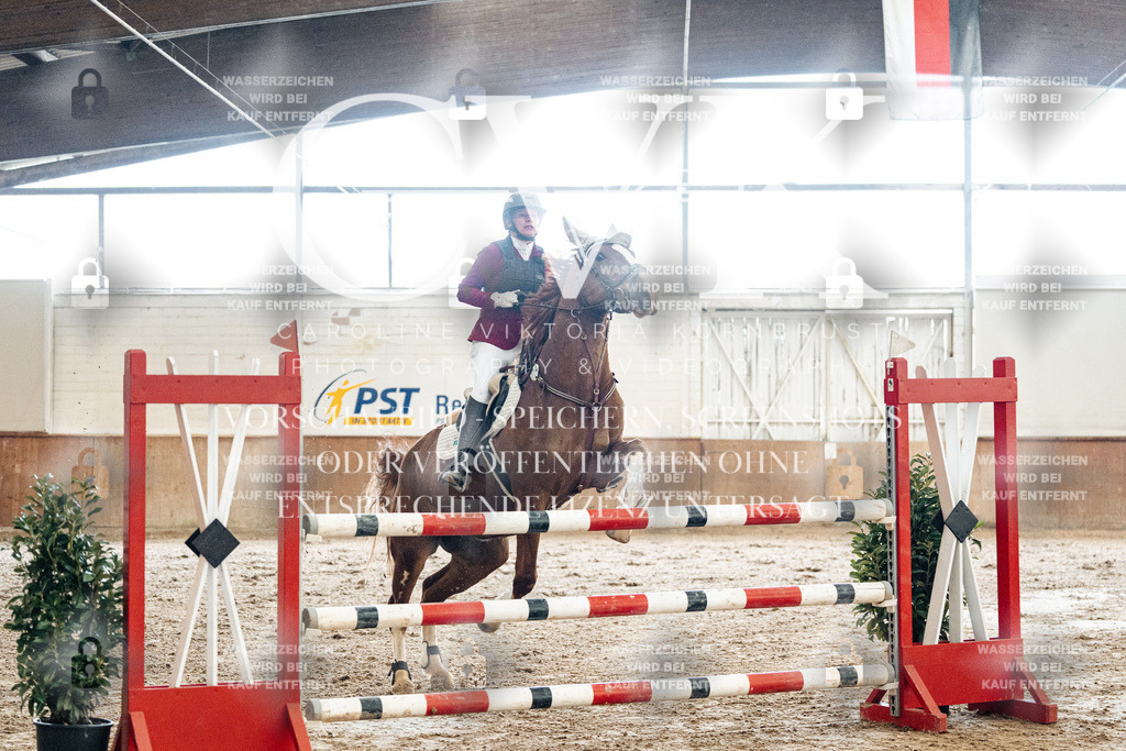 CK906309 | Turnierfotografie Pferdefotografie Trier Rheinland-Pfalz Pferdesport Reitsport Tierfotografie Sportfotografie Pferdevideo Pferdevideografie Equestrianvideography equestrianphotography  - Realisiert mit Pictrs.com