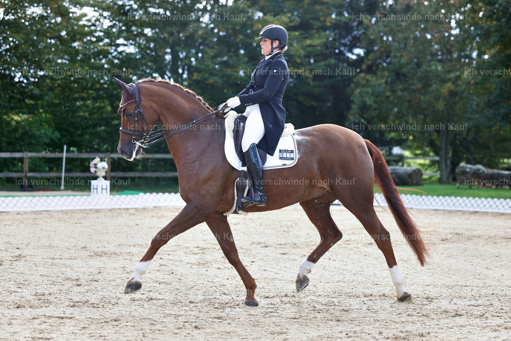 10-230-ST.GEORG SPECIAL -StoibPH-3164 | working equitationturnier fotograf videograf stoibphotography marixx film working equitation deutschland reitsport turnierfotografie eventfotografie equestrian events