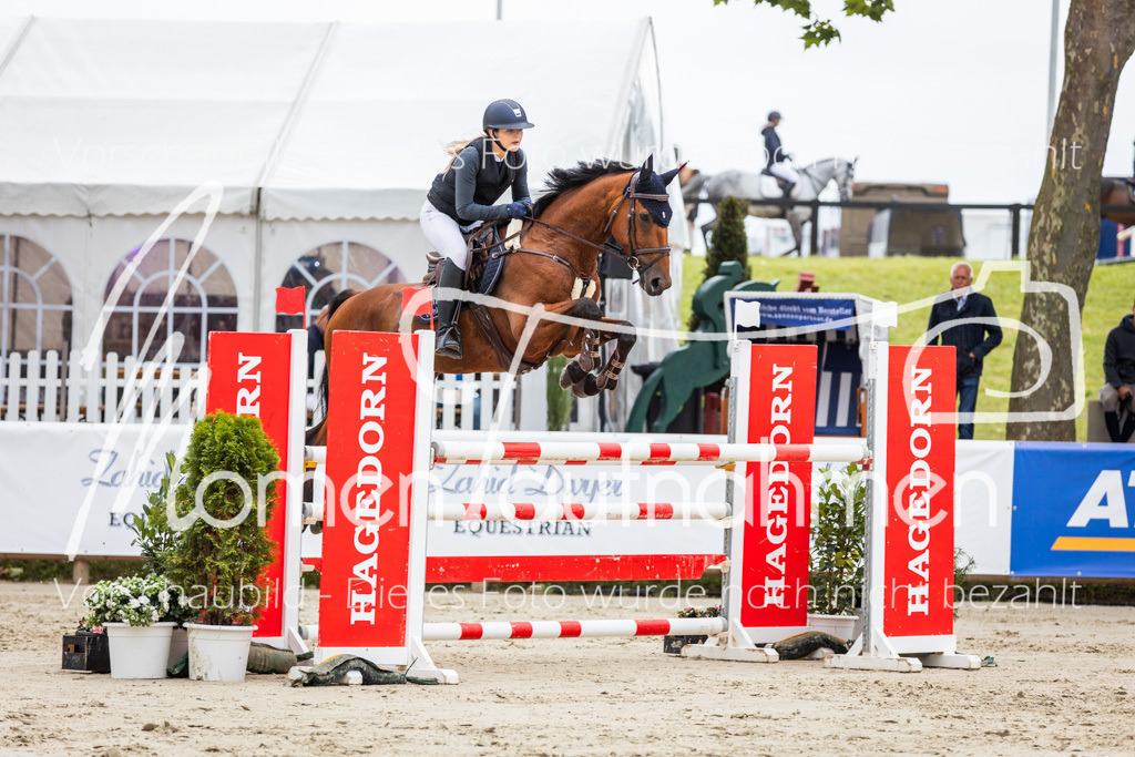 BHO-2PhSpr-M-170 | MomenTaufnahmen Pferdesportfotos