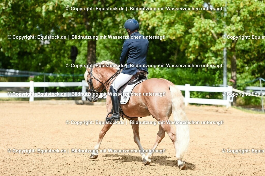 20230716_01_Dressurprüfung Kl.M_0144 | equistock