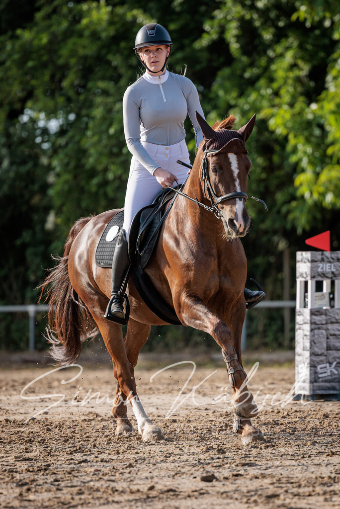 20260529-_3LI0744 | Tierfotografie Pferde, Hunde, Katzen, Haustiere.
Turnierfotografie Reitturniere, Reiten, Springreiten, Dressur in Hanau, dem Main-Kinzig-Kreis und dem Rhein-Main- Gebiet um Frankfurt
