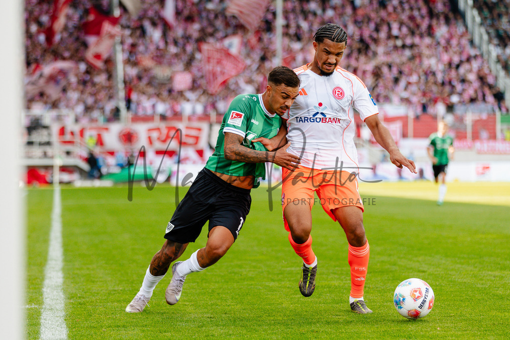 2. Bundesliga, Saison 2025/26, 5. Spieltag : SC Preußen Münster - Fortuna Düsseldorf | Münster, 14.09.2025: 2. Bundesliga, 5. Spieltag, SC Preußen Münster gegen Fortuna Düsseldorf im LVM-Preußenstadion in Münster. Foto: sportfotografie.ms | Markus Paletta - Realisiert mit Pictrs.com