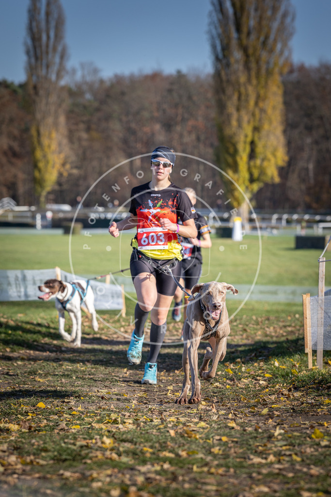 CaniXpix_DV3A9560 | Hundefotografie, Tierfotograf, Pfotenfotografie, Fotoshooting Hund, Hunde Portrait, Hundesport, Hundeportraits, Heideshooting, Hunde, Sportfotograf, Hundefotograf, Turnierhundsport, THS,  - Realisiert mit Pictrs.com
