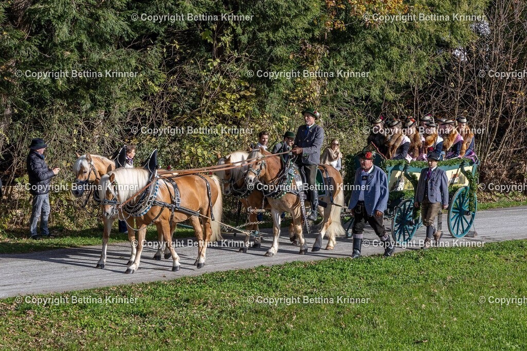 LBT24-585 | foto-bettina-krinner - Realisiert mit Pictrs.com
