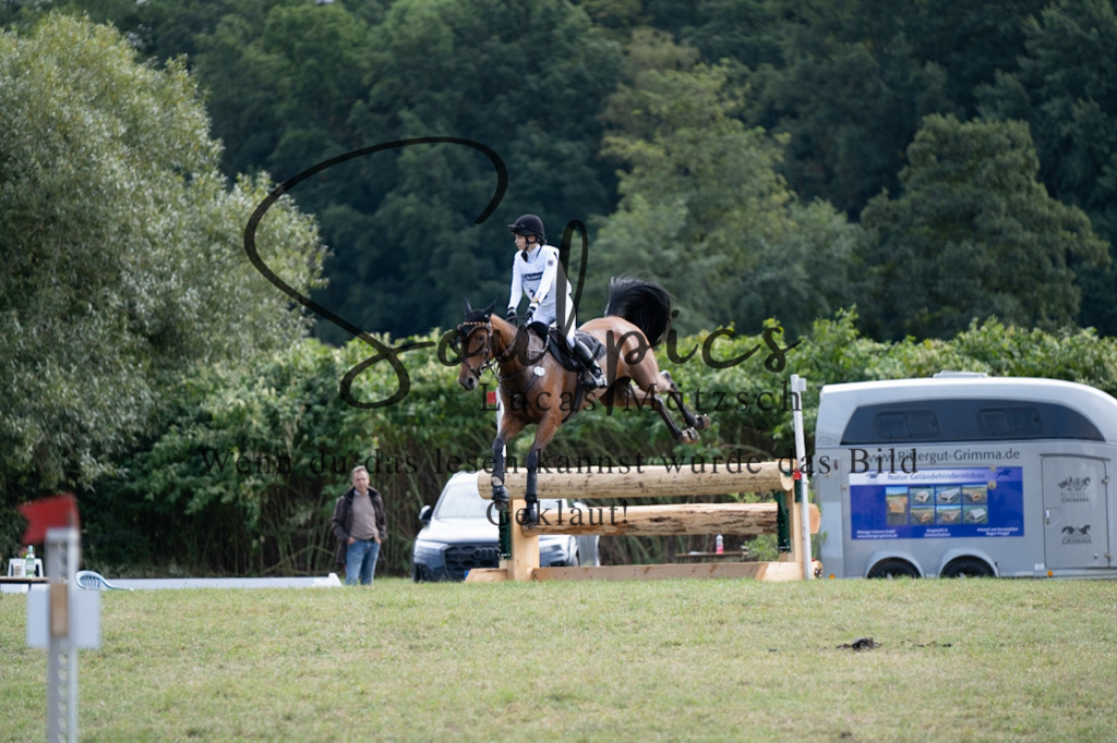 A7V00789 | Pferdefotograf