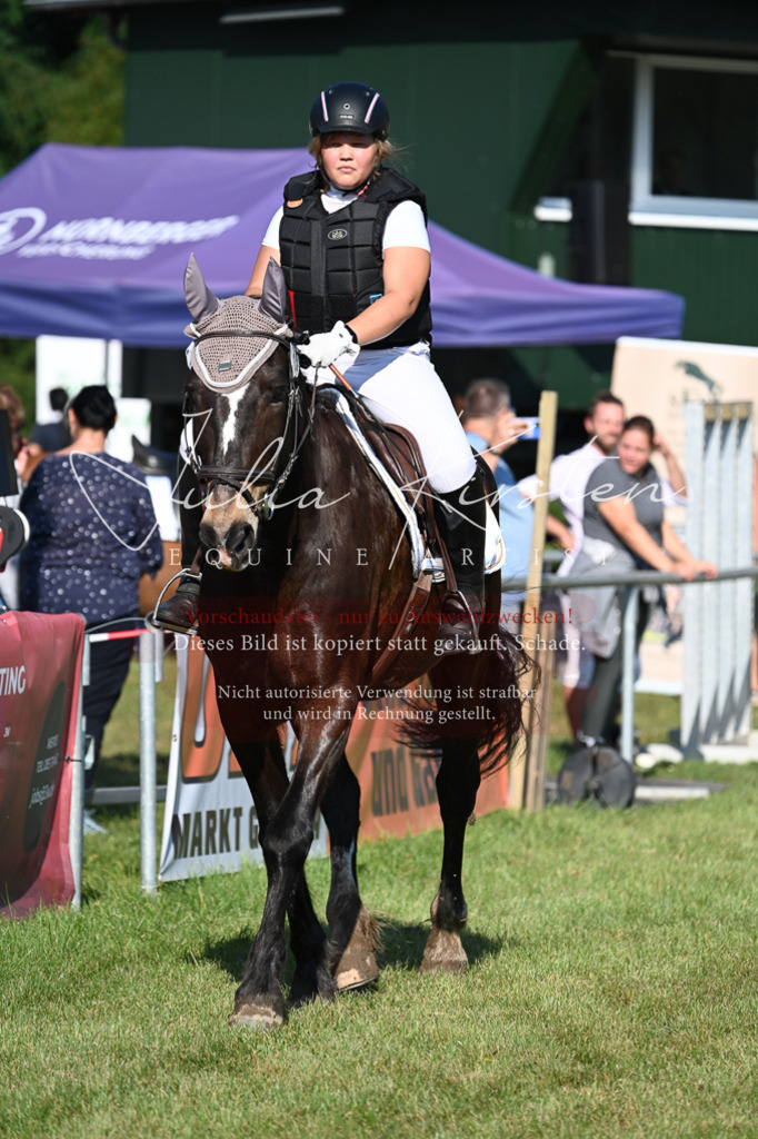 DSC_5173 | Pferde- und Turnierfotografie in Westsachsen. Pferdeportraits, Auftragszeichnungen und intuitive Kunst.