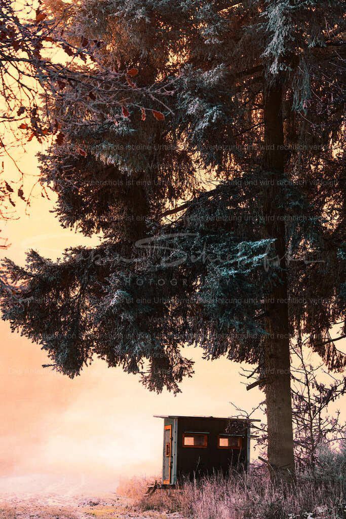 Wandbild Winter | People- und Tierfotografie, Imageaufnahmen, Veranstaltungsfotografie und Wandbilder aus der Natur ★ Made in Germany ✔️ Druck + Downloads ✔️ Naturfotografie in Top Qualität ★ schneller Versand, weltweite Lieferung! - Realisiert mit Pictrs.com