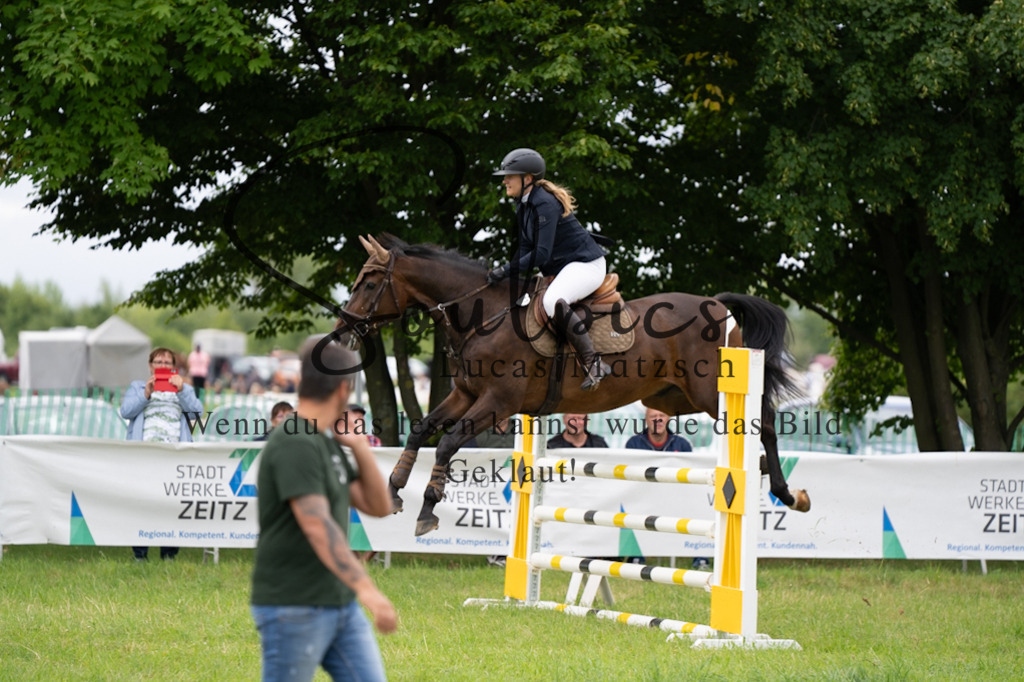 A7V03950 | Pferdefotograf