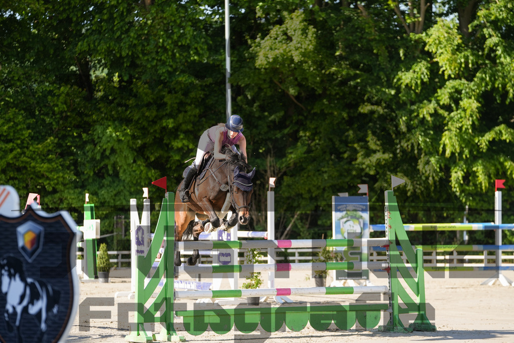 DSC02452 | Julian Held Fotografie - Realisiert mit Pictrs.com