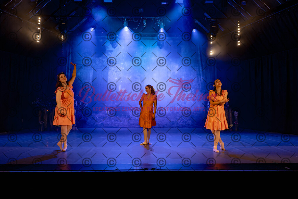 Ballettaufführung-519 | Bildershop Lem'n Entertainment - Realisiert mit Pictrs.com