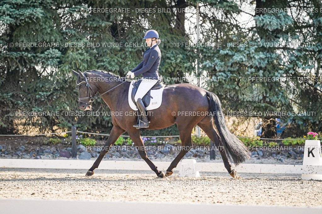 DSC09523 | Pferdegrafie