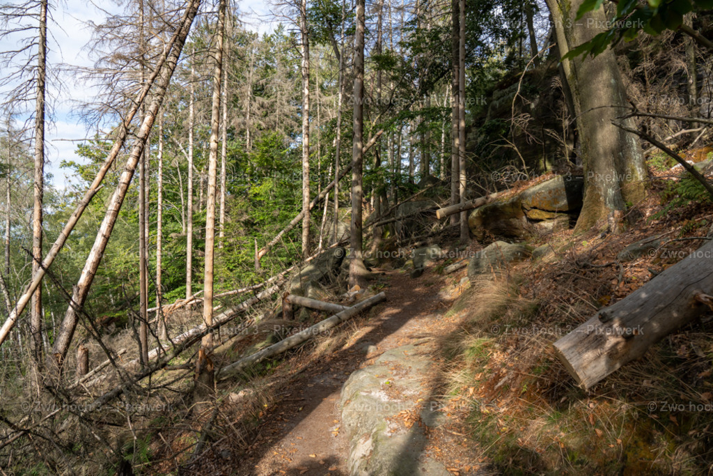Obere_Affensteinpromenade_Nahe_Ruebezahlturm_Baumschlag | 2022-09-02_Waldbrandgebiete_2 - Realisiert mit Pictrs.com