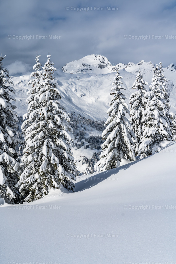 Skitour_Winklerner_Alm-39 | piet_flosse