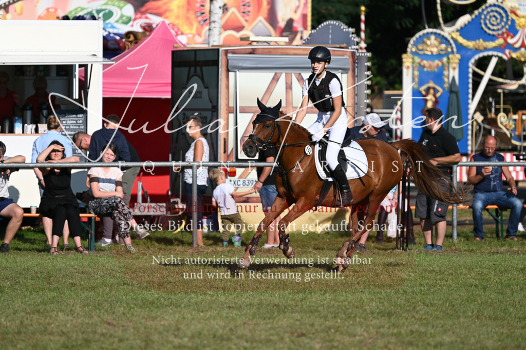 DSC_4812 | Pferde- und Turnierfotografie in Westsachsen. Pferdeportraits, Auftragszeichnungen und intuitive Kunst.