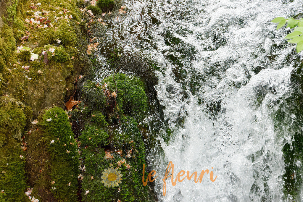 Römerquelle Biel | Dies ist der Shop von Florian Blum - le fleuri. Langenthal, Bern, Schweiz. Sie können hier meine oder ihre eigenen Fotos als Fotoprodukte kaufen. Tassen, Schlüsselanhänger, Taschen etc. können Sie hier gestalten.  - Realisiert mit Pictrs.com