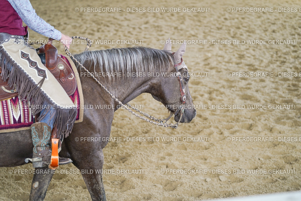 DSC08652 | Pferdegrafie