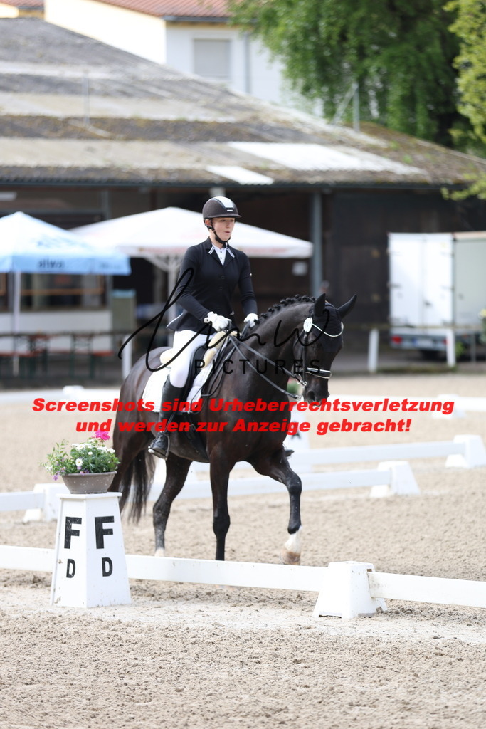 A40A0312 | lmwpictures - Realisiert mit Pictrs.com