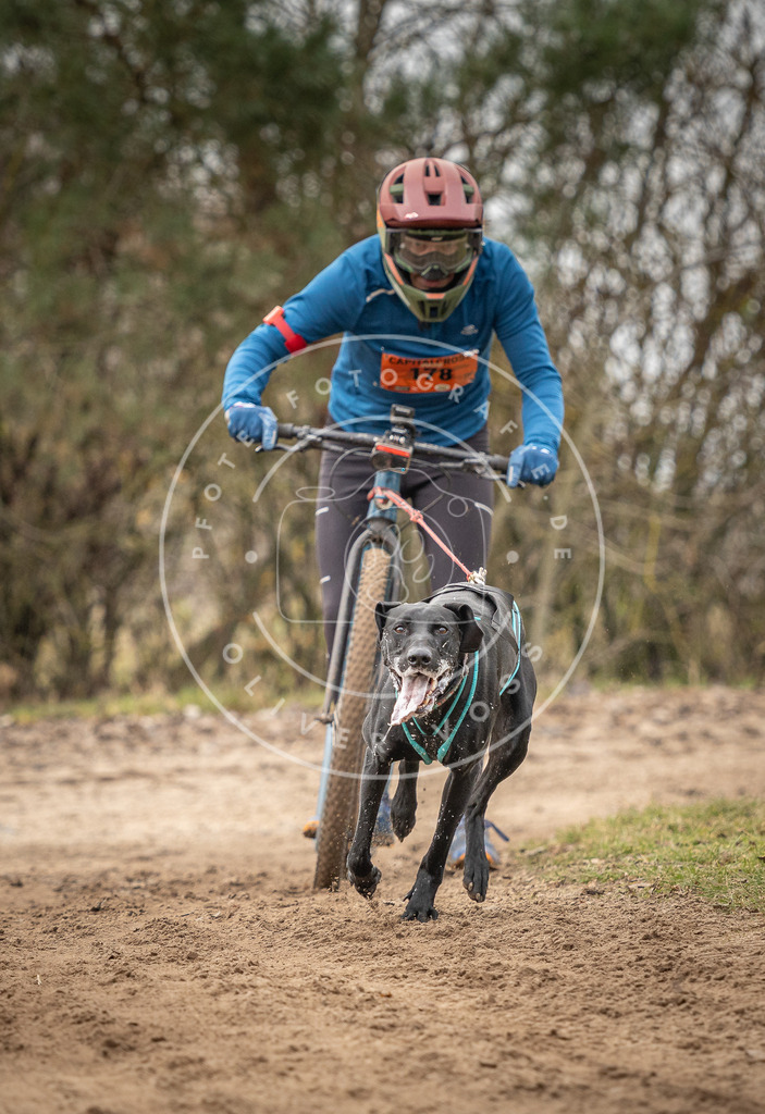 Pfotenfotografie_DV3A9531 | Hundefotografie, Tierfotograf, Pfotenfotografie, Fotoshooting Hund, Hunde Portrait, Hundesport, Hundeportraits, Heideshooting, Hunde, Sportfotograf, Hundefotograf, Turnierhundsport, THS,  - Realisiert mit Pictrs.com