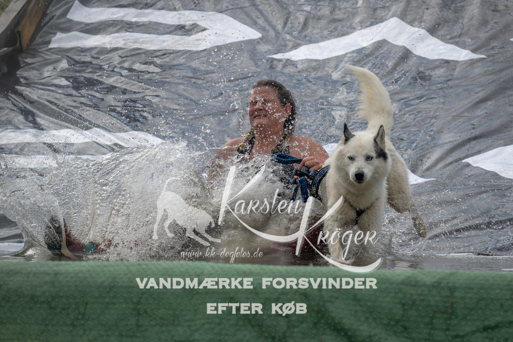 1107_ZZ92530 | kk-dogfotos