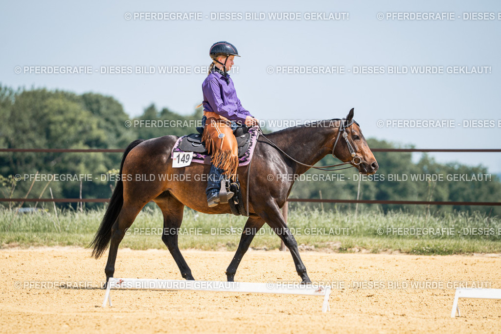 DSC01309 | Pferdegrafie