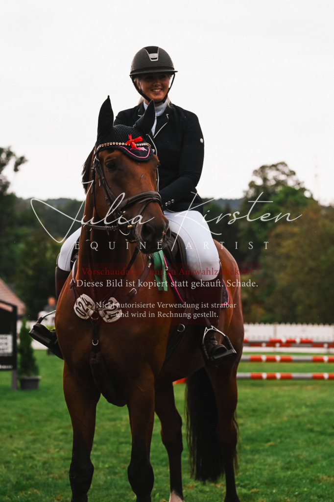 DSC_6693 | Pferde- und Turnierfotografie in Westsachsen. Pferdeportraits, Auftragszeichnungen und intuitive Kunst.
