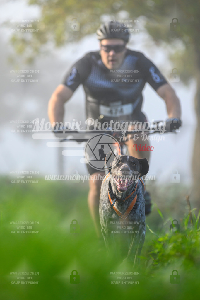 MompixPhotography_20TSB_E3_Bike-106 | PayLife