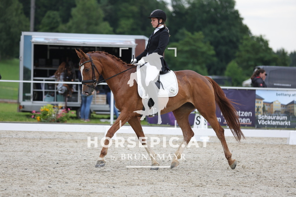 0P6A3589 | Willkommen bei Brunnmayr - Design & Fotografie – Ihrem Spezialisten für Reitturniere und Pferdeveranstaltungen in Oberösterreich, Salzburg und Bayern! Seit über 17 Jahren sind wir leidenschaftlich dabei.