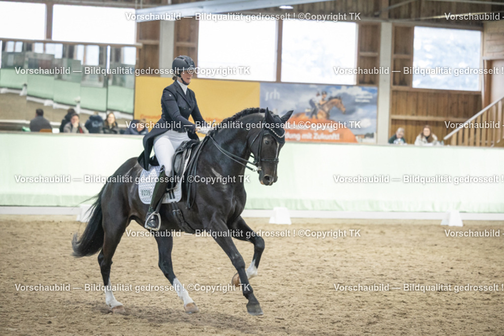 _D5A6931 | Emotionale Pferde- & People-Fotografie rund um Heidelberg, Leimen & Umgebung. Natürliche Fotos von Pferd, Mensch & Familie. Jetzt Termin sichern!