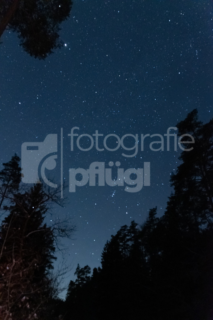 Unbenannt11111-1 | fotografie-pfluegl - Realisiert mit Pictrs.com