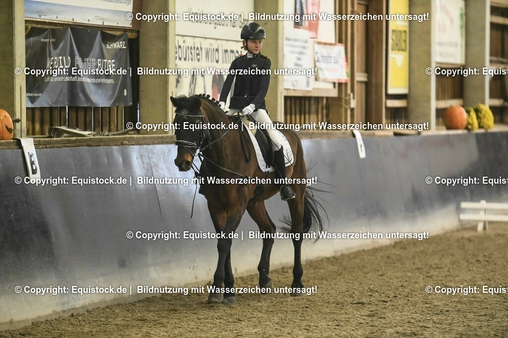 20231029_02_Reiter-WB_Schritt-Trab-Galopp_Abteilung-02_0025 | Foto: Thomas Hartig